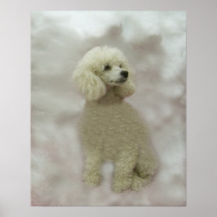 Poster Les Poodles Sont Imprimés Céleste