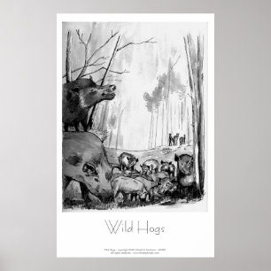 Poster Les porcs sauvages