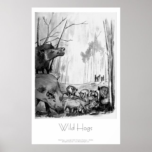 Poster Les porcs sauvages (Devant)