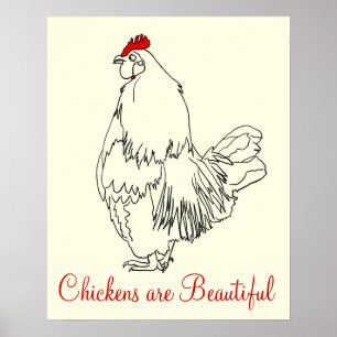 Poster Les poules sont de beaux coqs drôles Art Dessin