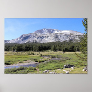 Poster Les prairies de Tuolumne, le parc national de Yose