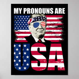 Poster Les Pronounes Sont Les Etats-Unis Donald Trump Pat