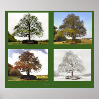 Poster Les Quatre Saisons