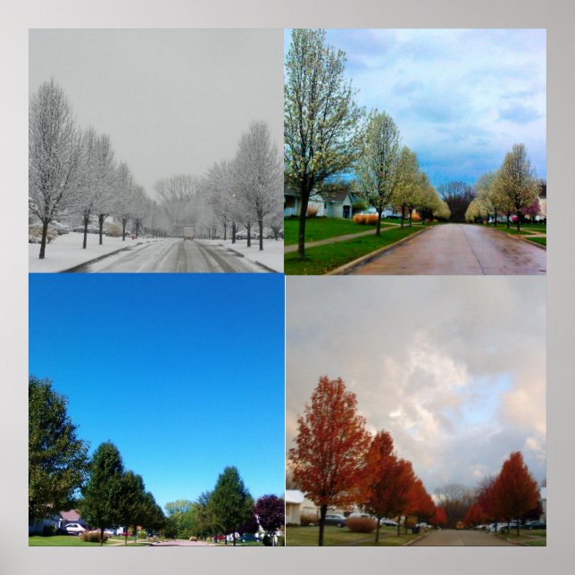 POSTER LES QUATRE SAISONS (Devant)