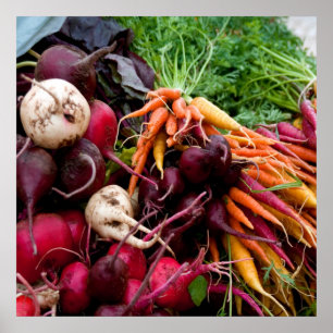 POSTER LES RACINES !