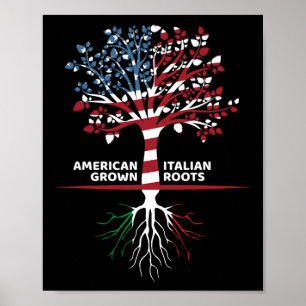 Poster Les racines italiennes américaines 4 juillet