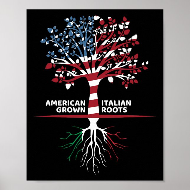 Poster Les racines italiennes américaines 4 juillet (Devant)