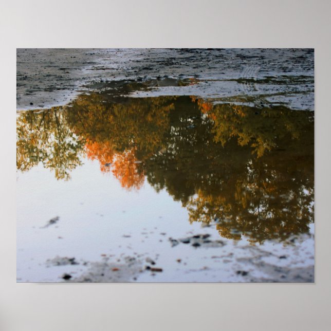 Poster Les Réflexions D'Automne Dans Une Nature Pénible (Devant)