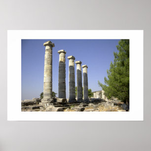 Poster Les remainings de Rome antique