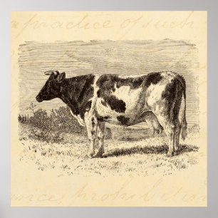Poster Les rétros vaches vache néerlandaise vintage à