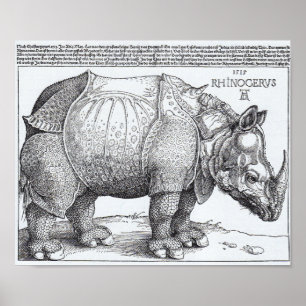 Poster Les rhinocéros de Dürer
