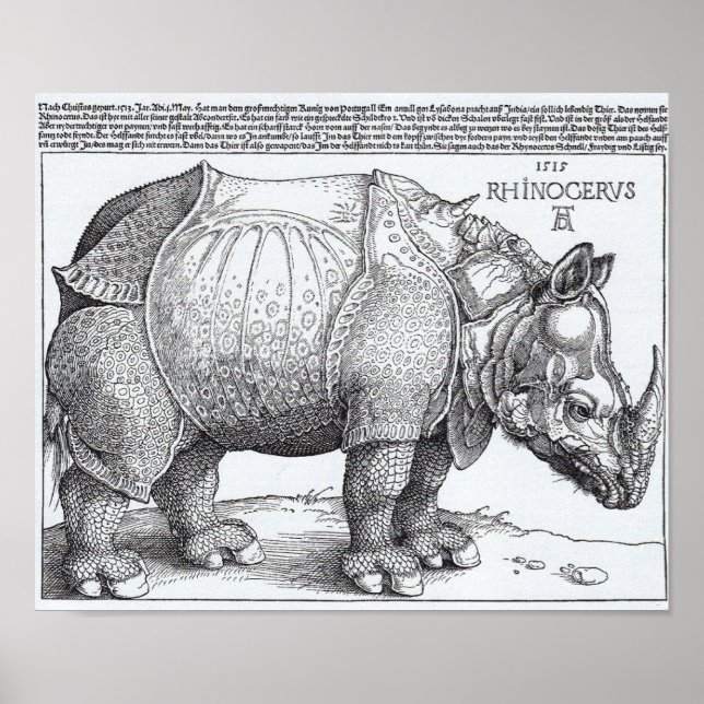 Poster Les rhinocéros de Dürer (Devant)