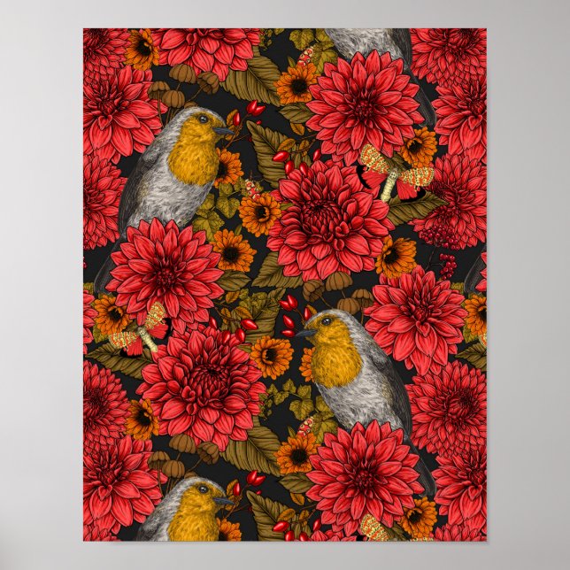 Poster Les Robins de l'auccle garden (Devant)