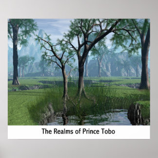 Poster Les Royaumes Du Prince Tobo