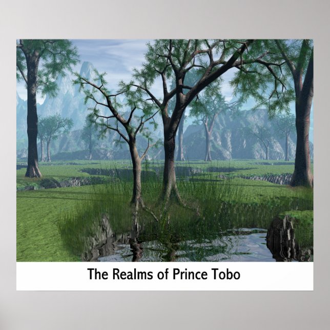 Poster Les Royaumes Du Prince Tobo (Devant)