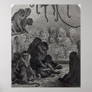 Poster Les singes de Londres