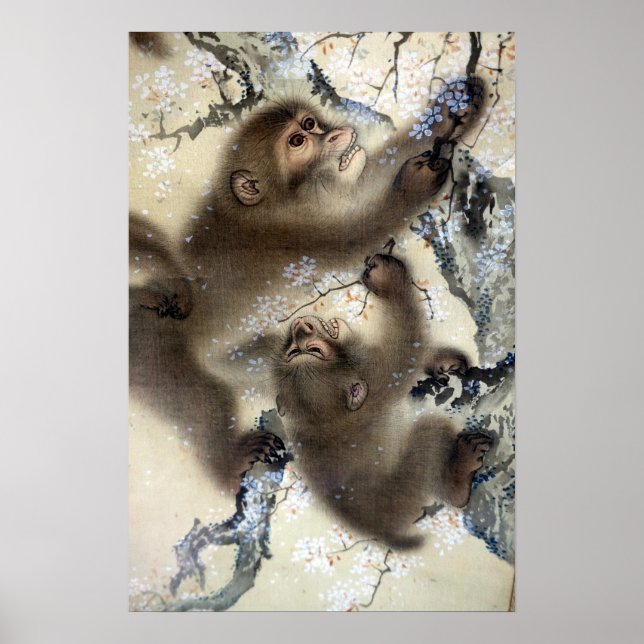 Poster Les singes Mori Sosen dans un cerisier en fleurs (Devant)