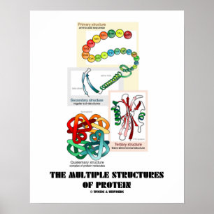 Poster Les Structures Multiples De Protéines (Biologie)