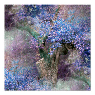 Poster Les teintes du printemps...