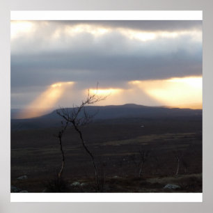 Poster Les terres sauvages