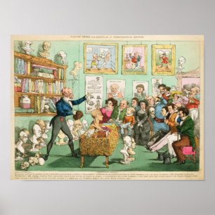 Poster Les têtes et les cerveaux des veaux ; un