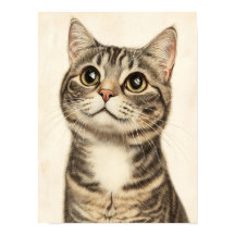 Les trésors tabby de Dürer 4