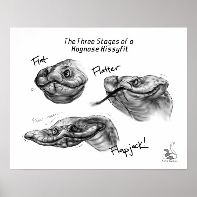 Poster "Les trois étapes d'une histoire de Hognose" (Devant)