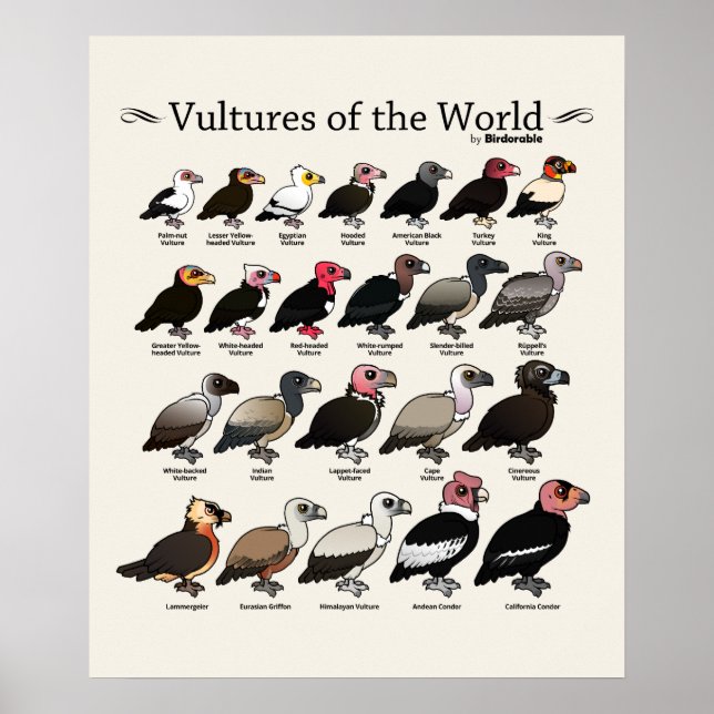 Poster Les vautours du monde par Birdorable (Devant)