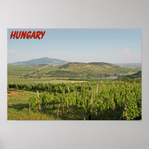 Poster Les vignobles de Tokaj, Hongrie