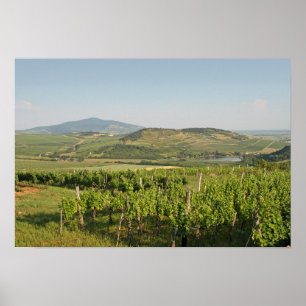 Poster Les vignobles de Tokaj, Hongrie
