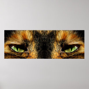 Poster Les yeux des chats
