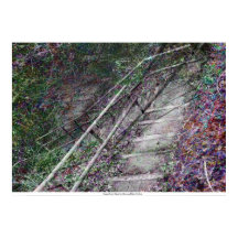 L'escalier superficiel de Rowan Blair Colver