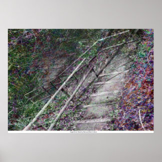 Poster L'escalier superficiel de Rowan Blair Colver