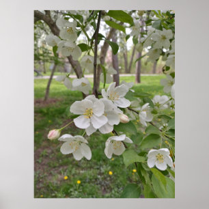 Poster L'espoir est proche