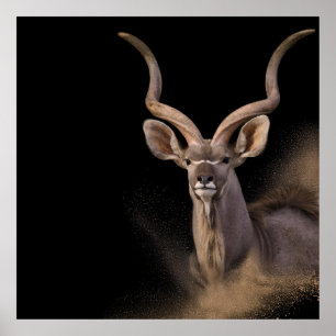 Poster L'Esprit de Kudu