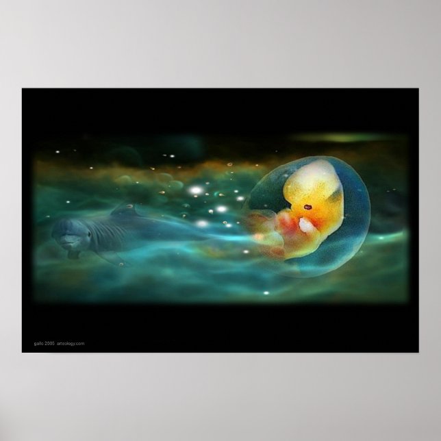 POSTER L'ESPRIT DES DOLPHINS (Devant)