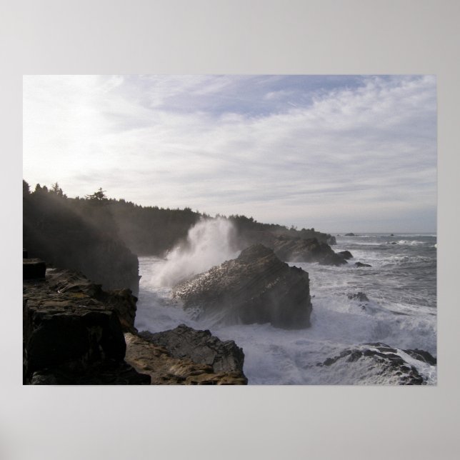 Poster L'esprit hivernal (Devant)