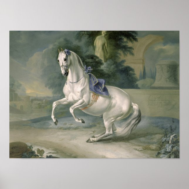 Poster L'étalon blanc Leal en levade, 1721 (Devant)
