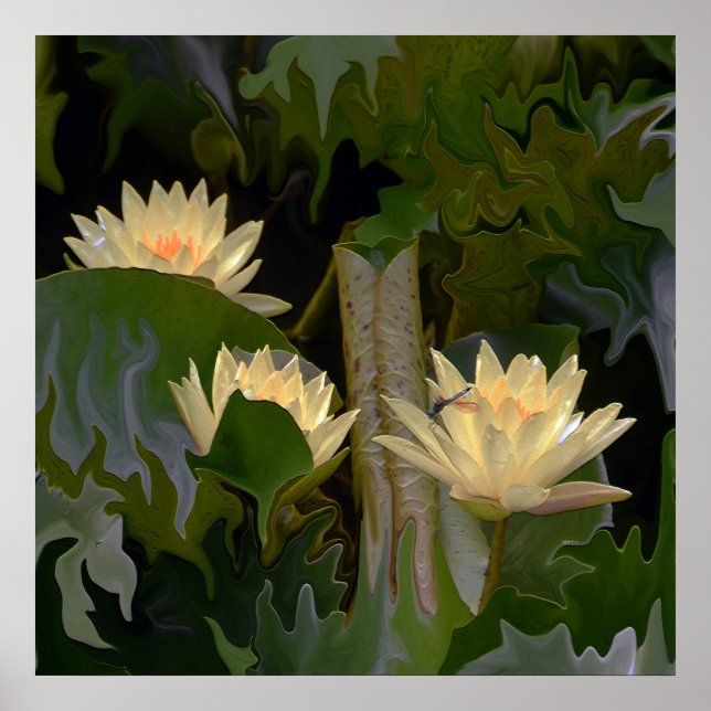 Poster L'étang de Fae.... (Devant)