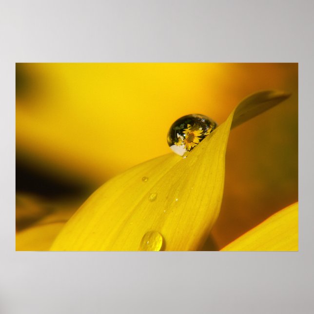 Poster L'été dans une goutte II. (Devant)