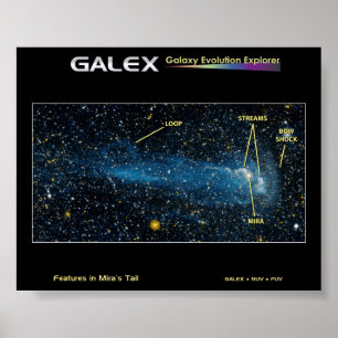 Poster L'étoile détaillée Mira avec la queue