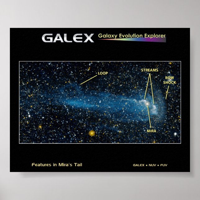 Poster L'étoile détaillée Mira avec queue (Devant)