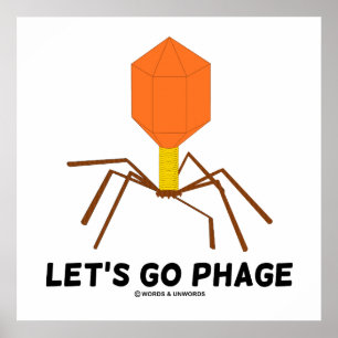 Poster Let's Go Phage