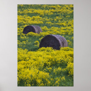 Poster Lettonie, Nord-Est de la Lettonie, région de Vidze