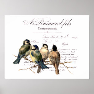 Poster Lettre française vintage et oiseaux