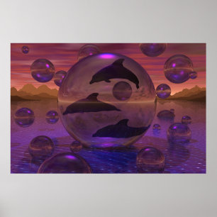 Poster L'évasion du dauphin