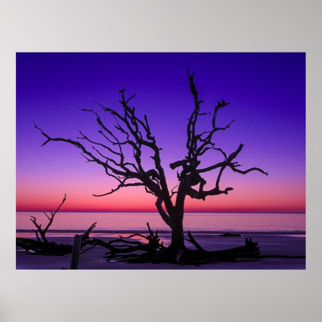 Poster Levée de soleil violette (Devant)