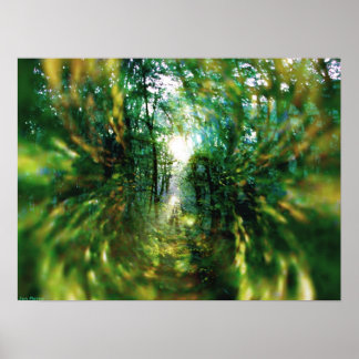Poster Lever de soleil dans la forêt 2