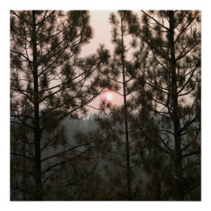 Poster Lever de soleil enfumé de l'incendie de Carr 2018.