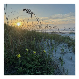 Poster Lever de soleil sur les dunes de la plage
